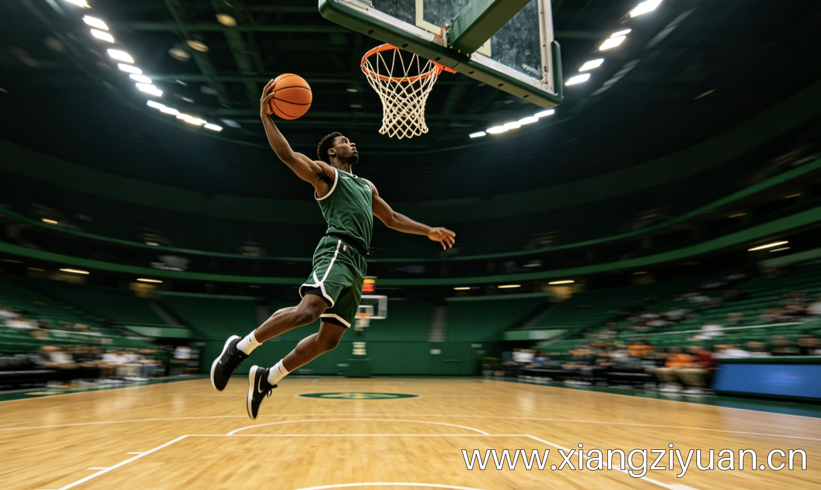 NBA/CBA深度数据